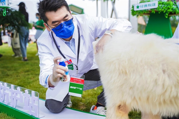 京東健康-寵物健康攜手福來恩，專業守護，助力愛寵化身“撒野英雄”